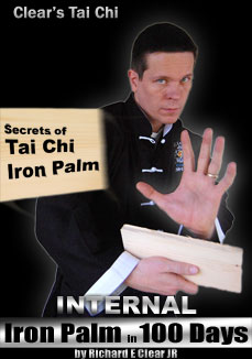 Tai Chi Iron Palm