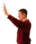 tai-chi-fighting-position-side