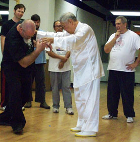 tai chi for fighting